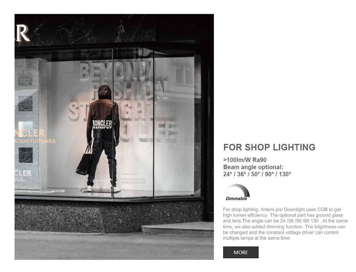 Artemi-Shop.jpg