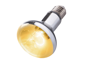 Pet Lighting Series